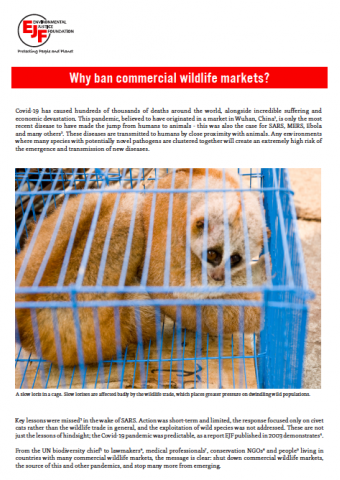 Warum kommerzielle Märkte für Wildtiere verbieten?