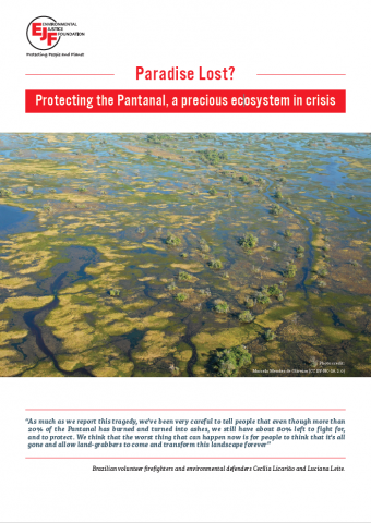 Paradise lost? Protecting the Pantanal, a precious ecosystem in crisis