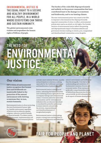 What is environmental justice?