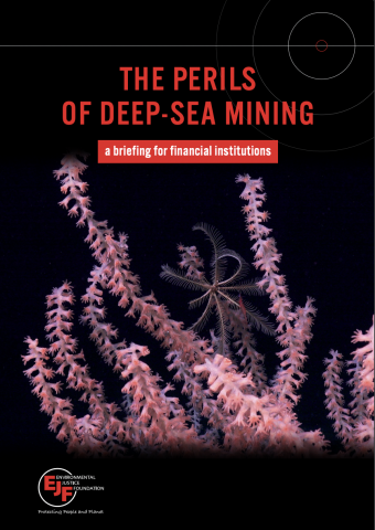 The perils of deep-sea mining: A briefing for financial institutions